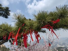 -天津盘山风景名胜区