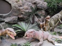 -国家自然博物馆