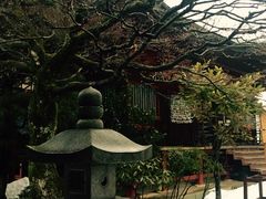 -医王山·飞騨国分寺