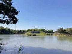 -福田红树林生态公园