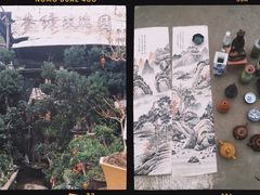 -桂林市花鸟市场