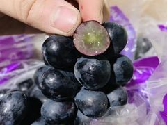 -沈阳市八家子水果批发市场