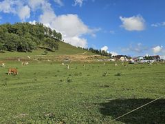 -关山草原