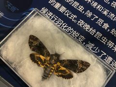 -阿哈湖国家湿地公园