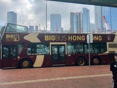 -Big Bus Tours 敞篷观光巴士