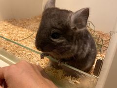 -龙猫仔乐园(惠福东路店)