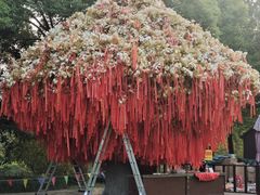 -狼山风景名胜区