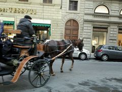 -圣母百花大教堂穹顶