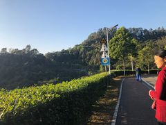 -火炉山森林公园
