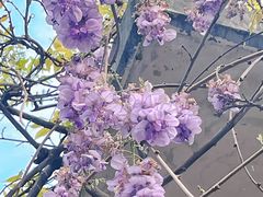 -郑和公园