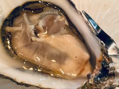 -斯普汇生蚝牛排馆(中骏世界城店)