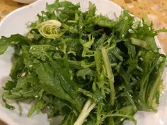 -权金城