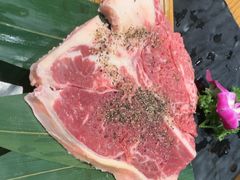-杨小佳·齐齐哈尔烤肉·烤串(广州店)