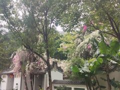 -深圳国际园林花卉博览园