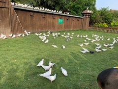 -上海野生动物园