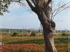 -光明小镇欢乐田园