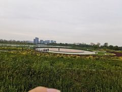 -绿堤公园