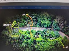 -海南热带雨林国家公园吊罗山景区