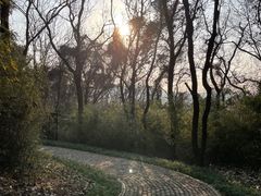 -苏州上方山国家森林公园