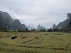 -明仕田园
