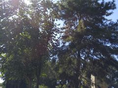 景点-北平图书馆旧址