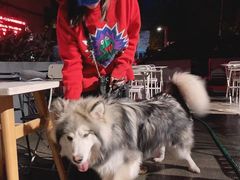 -the rug 飞毯 (朝阳公园店)