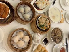 -美心皇宫(屯门大会堂店)