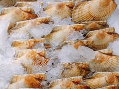 -蚝得喜海鲜(东城店)