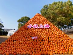 -上海月湖雕塑公园