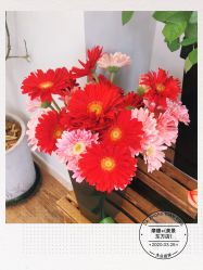 -摩睫+皮肤管理·科学美容中心