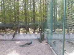 -南京金牛湖风景区