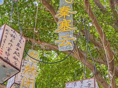 -陶缘一号·四季缘·老字号顺德菜·户外婚礼家宴(西滘店)