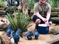 -费瑟代尔野生动物园