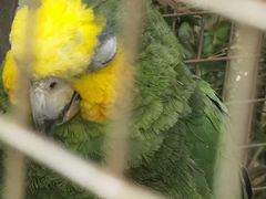 -大连森林动物园