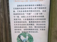 -盐城丹顶鹤湿地生态旅游区