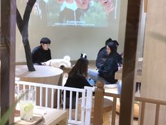 -Apple零售店(中街大悦城店)