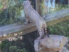 -济南野生动物世界