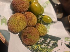 -季季山·云南野生菌火锅(上海首店)