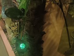 -怡泰SPA·泰疗按摩(徽宁路店)