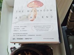 -大隐花事(熊婆婆的花园店)