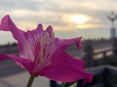 -南沙十九涌渔人码头-南门