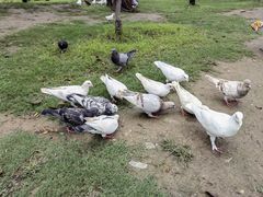 -玄武湖景区-情侣园游乐场