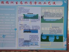-鹦鹉洲湿地公园