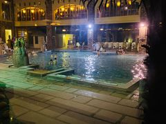 -咸宁万豪温泉谷度假区