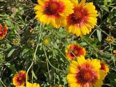 -永定河休闲森林公园