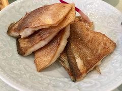 -锦粤宫·融合粤菜(上海金沙江店)