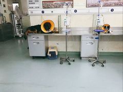 -动物缘宠物医院·骨科·猫科(西二环店)