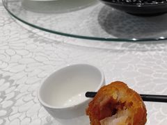 -丁老爷子苏香圆