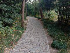 -狼山风景名胜区