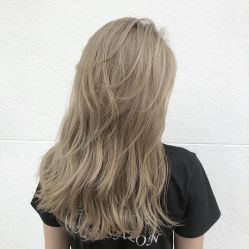 -Y-STUDIO原理